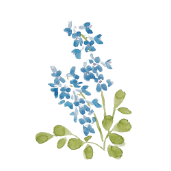 講座・勉強会を開催