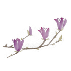 おしゃべりサロン