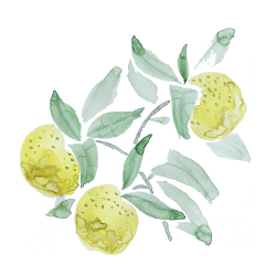 葬送支援※会員限定サポート